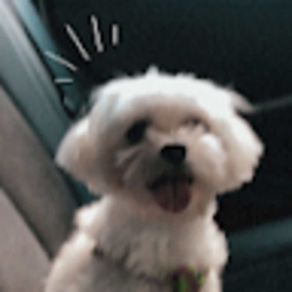 Meet your Posher, Jimin